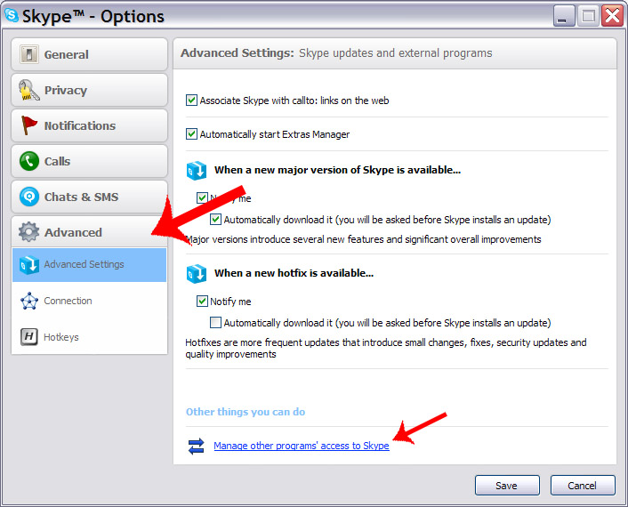 Skype aptions window